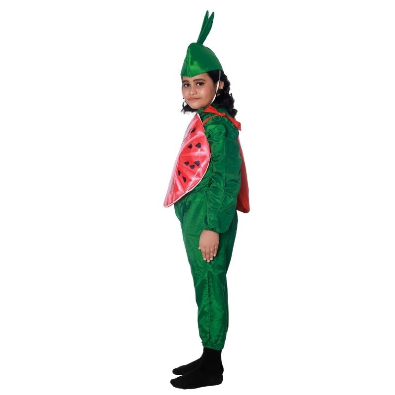 Water Melon Fancy Dress Costume