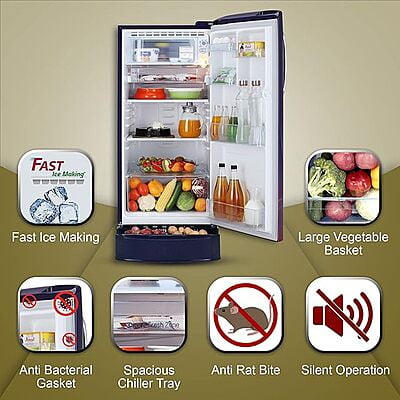 LG 185 L 5 Star Inverter Direct-Cool Single Door Refrigerator (GL-D201ABPU, Blue Plumeria,