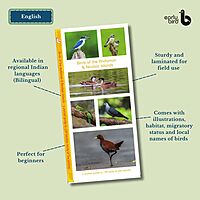 Pan-India Pocket Guides Kit