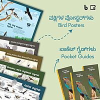 ಪ್ರಕೃತಿಯ ಪೆಟ್ಟಿಗೆ | Prakritiya Pettige (Nature Education Kit in Kannada) ಪ್ರಕೃತಿಯ ಪೆಟ್ಟಿಗೆ | Prakritiya Pettige (Nature Education Kit in Kannada)