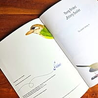 Young Birders' Activity Booklet Young Birders' Activity Booklet