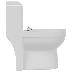 OPC-22111PP Apple Washdown One Piece Closet S Trap (9" Inch) With Soft Close Seat Cover, Hinges, Fixing Accessories Set and Accessories Set, Cistern Fittings