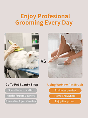 Multifunctional Pet Brush: