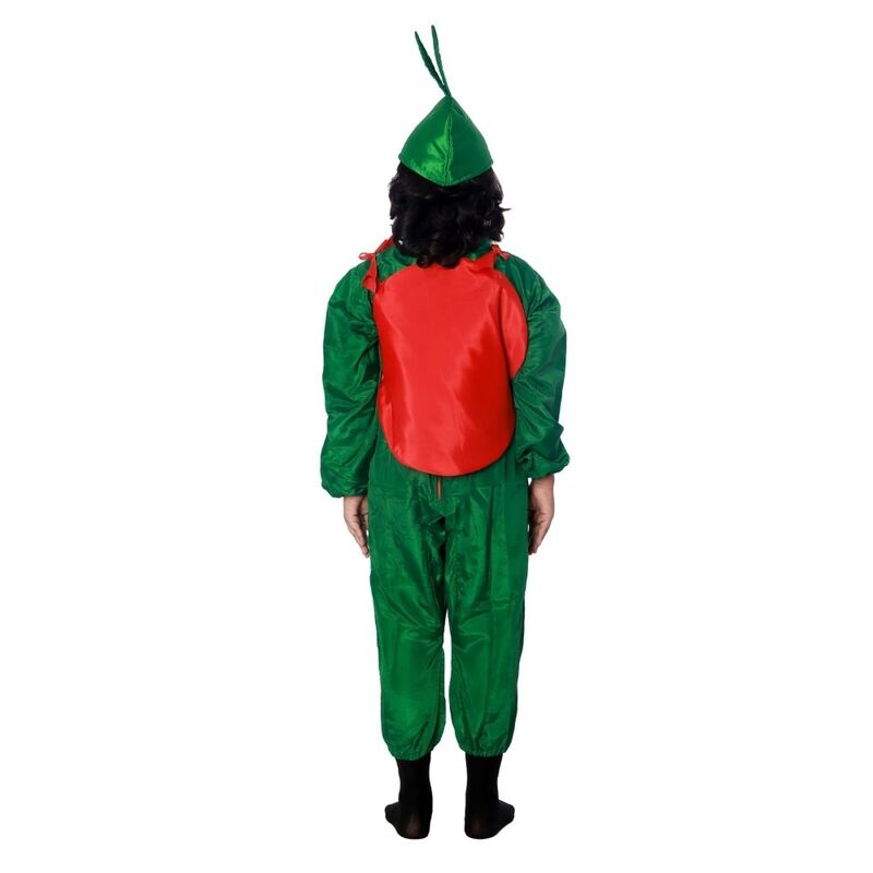 Water Melon Fancy Dress Costume