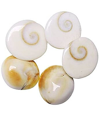 Natural Real Gomti Chakra 11 Pcs