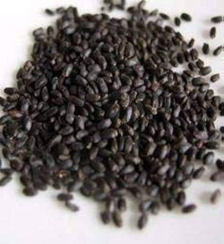 Bavaanje Seed Bavaanje Seed