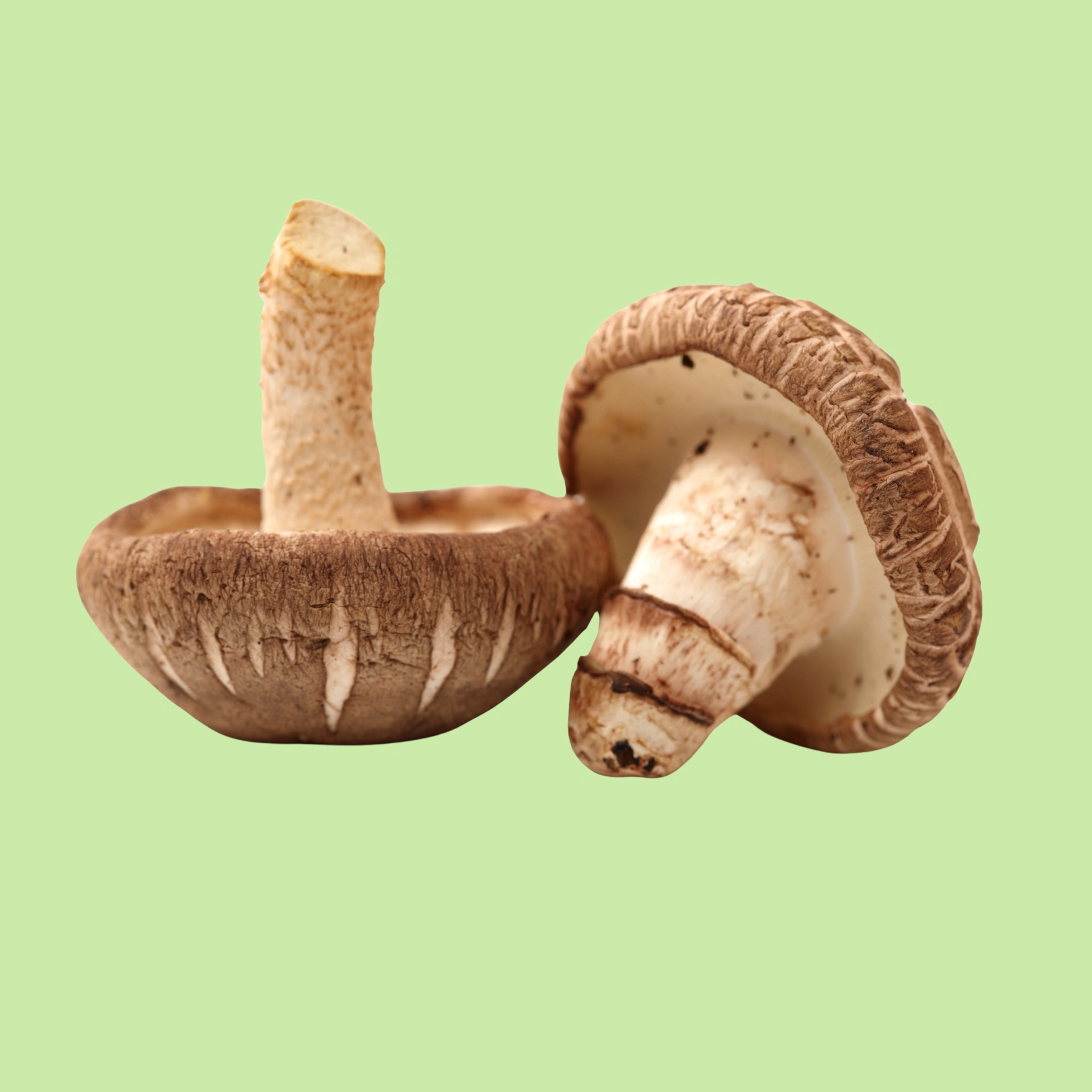 Mushrooms Shiitake - 200g