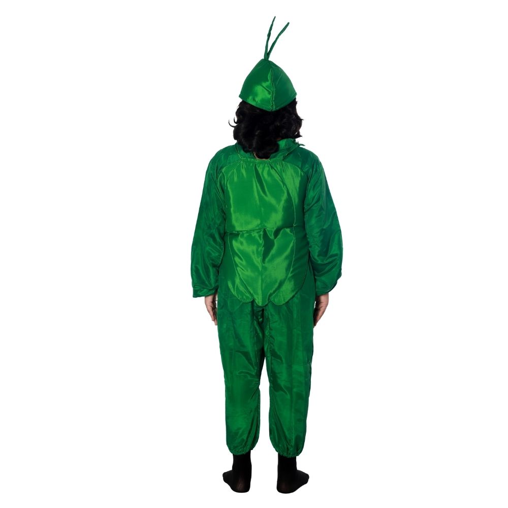 Capsicum Vegetable Fancy Dress Costume