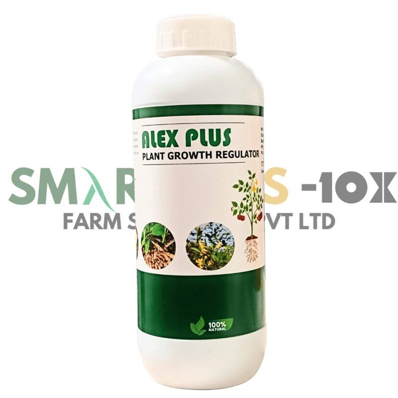 Alex Plus
