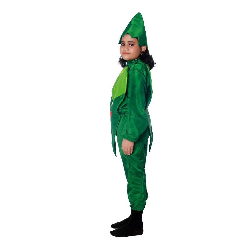 Lady Finger Fancy Dress Costume