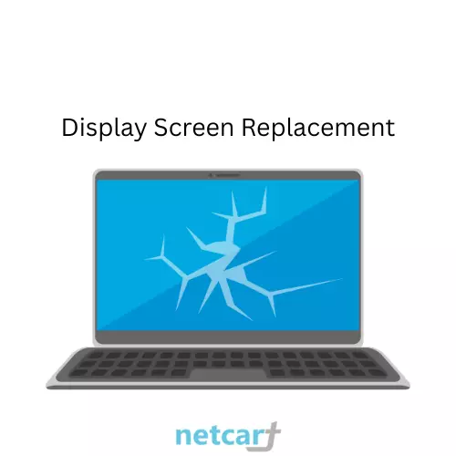 Display Screen Replacement