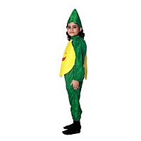 Mango Fruit Fancy Dress Costume