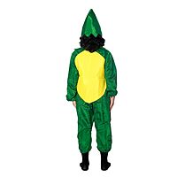 Mango Fruit Fancy Dress Costume
