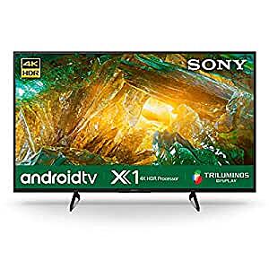 Sony Bravia 123 cm (49 inches) 4K Ultra HD Certified Android LED TV 49X8000H