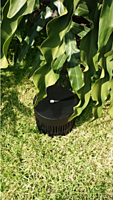 Magna Polly SUB Green Subwoofer