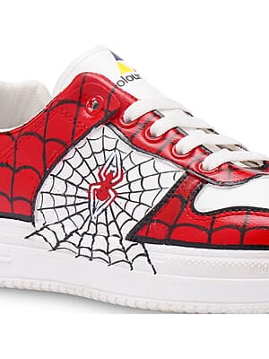 SPIDER WEB SPIDER WEB