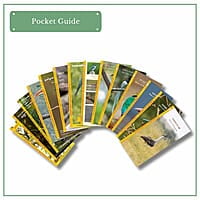 Early Bird Gift Pack Early Bird Gift Pack