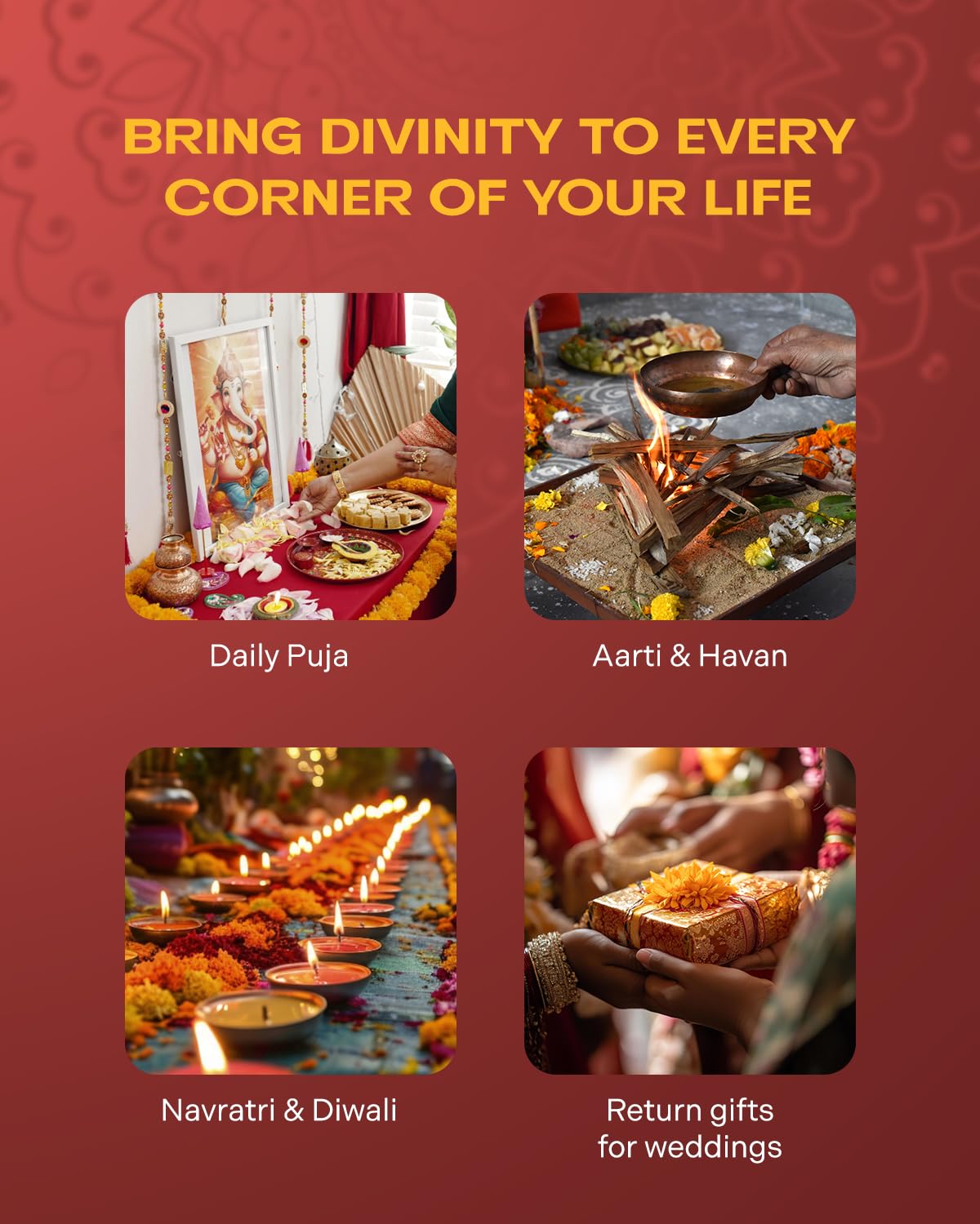 GRANULES Ghee Diya for Puja  100 Pieces  (pack of 1) GRANULES Ghee Diya for Puja  100 Pieces  (pack of 1)