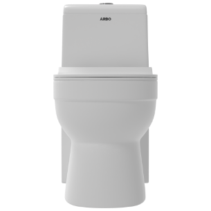 OPC-22121PP Apple Washdown One Piece Closet P Trap With Soft Close Seat Cover, Hinges, Fixing Accessories Set and Accessories Set, Cistern Fittings
