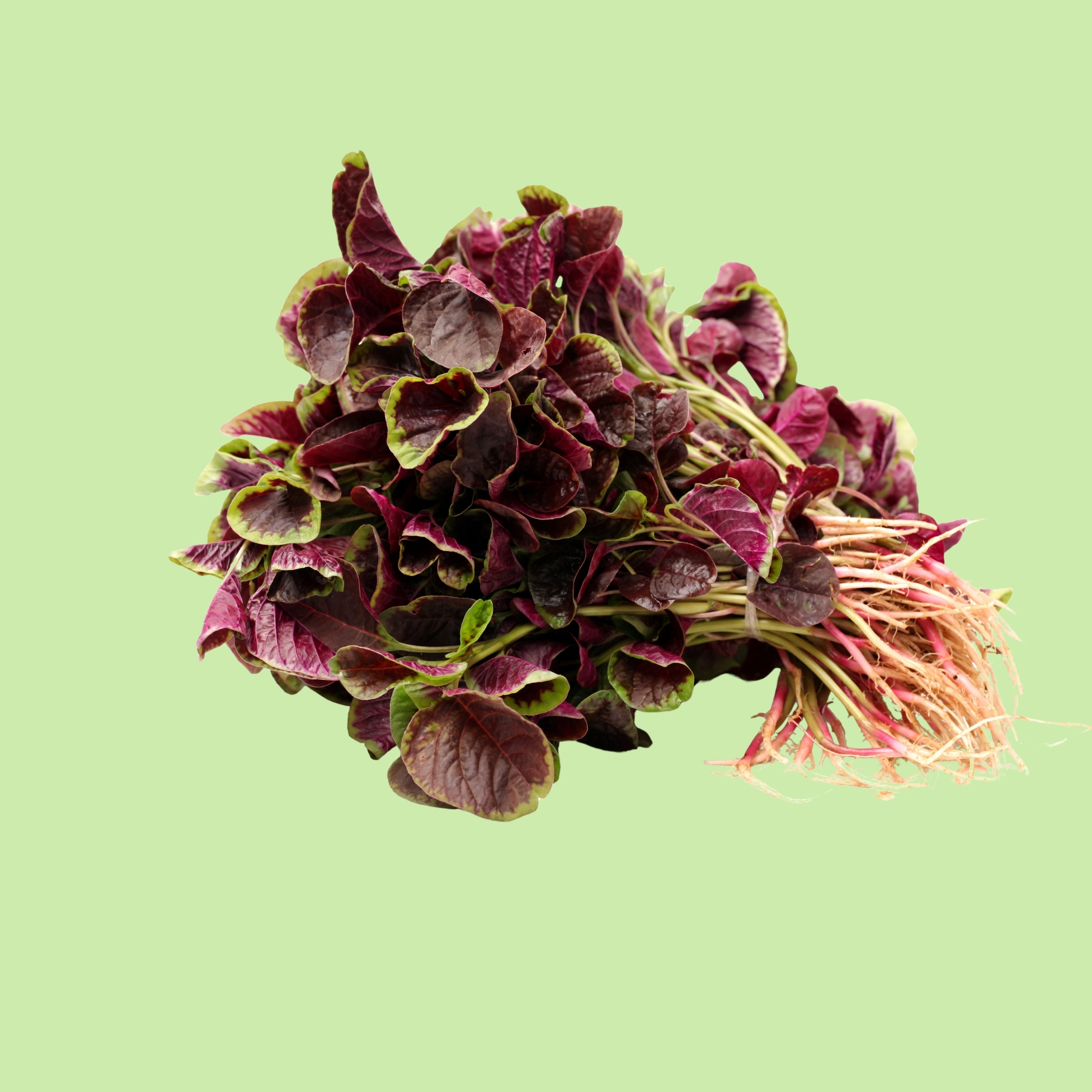 Amaranth Green - 200g