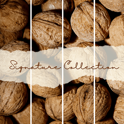 Nuts in a Jar Chilean Walnuts with Shell Signature 250 Grams Nuts in a Jar Chilean Walnuts with Shell Signature 250 Grams