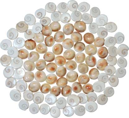 Gomati Chakra For Pooja and Vastu 108 Gomati Chakra For Pooja and Vastu 108