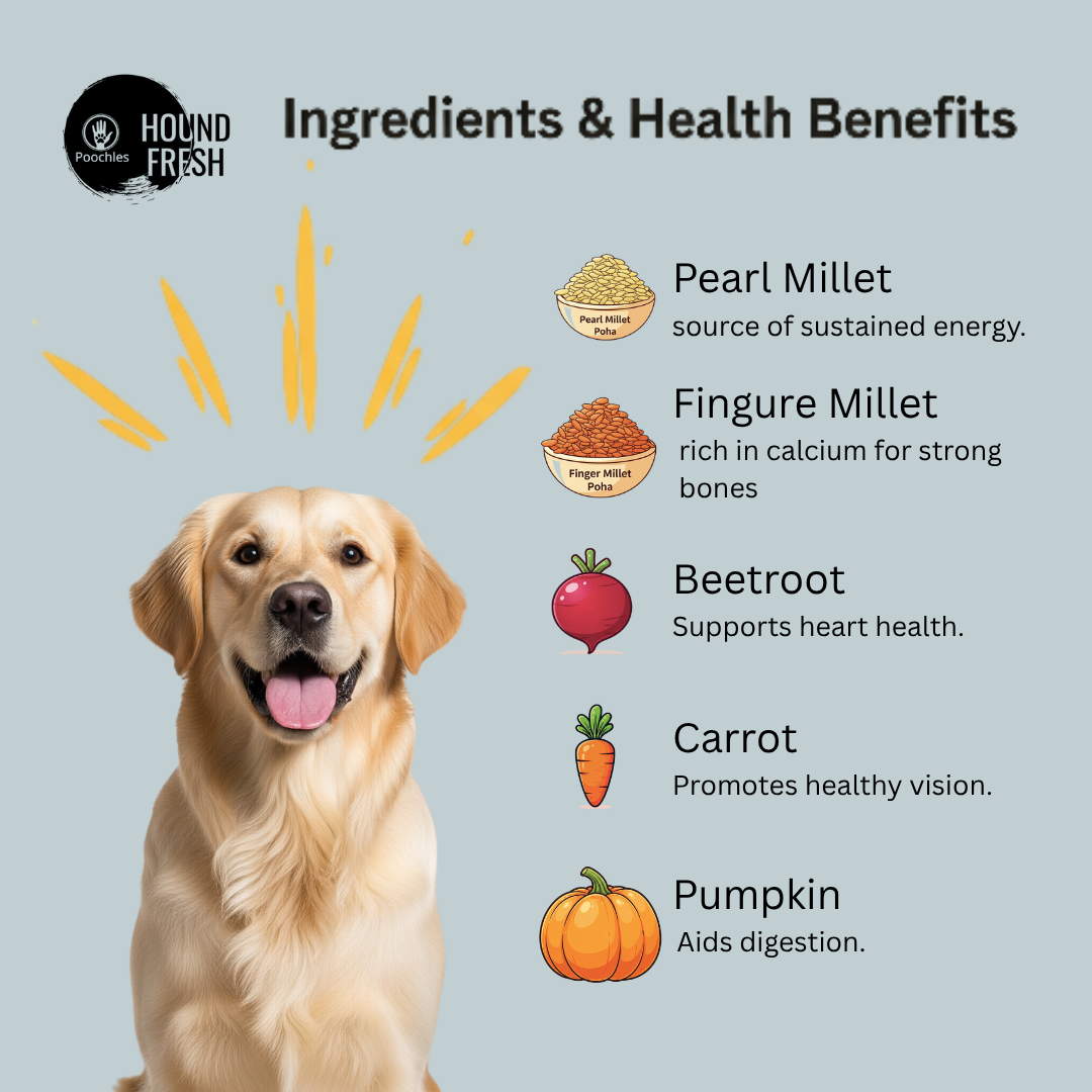Hound Fresh Sweet Potato and Cheese Dog Pure Veg Fresh Food, Banana Flavored Hound Fresh Sweet Potato and Cheese Dog Pure Veg Fresh Food, Banana Flavored