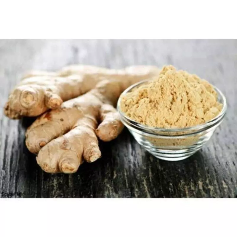 Shunti(Ginger) (P) Shunti(Ginger) (P)