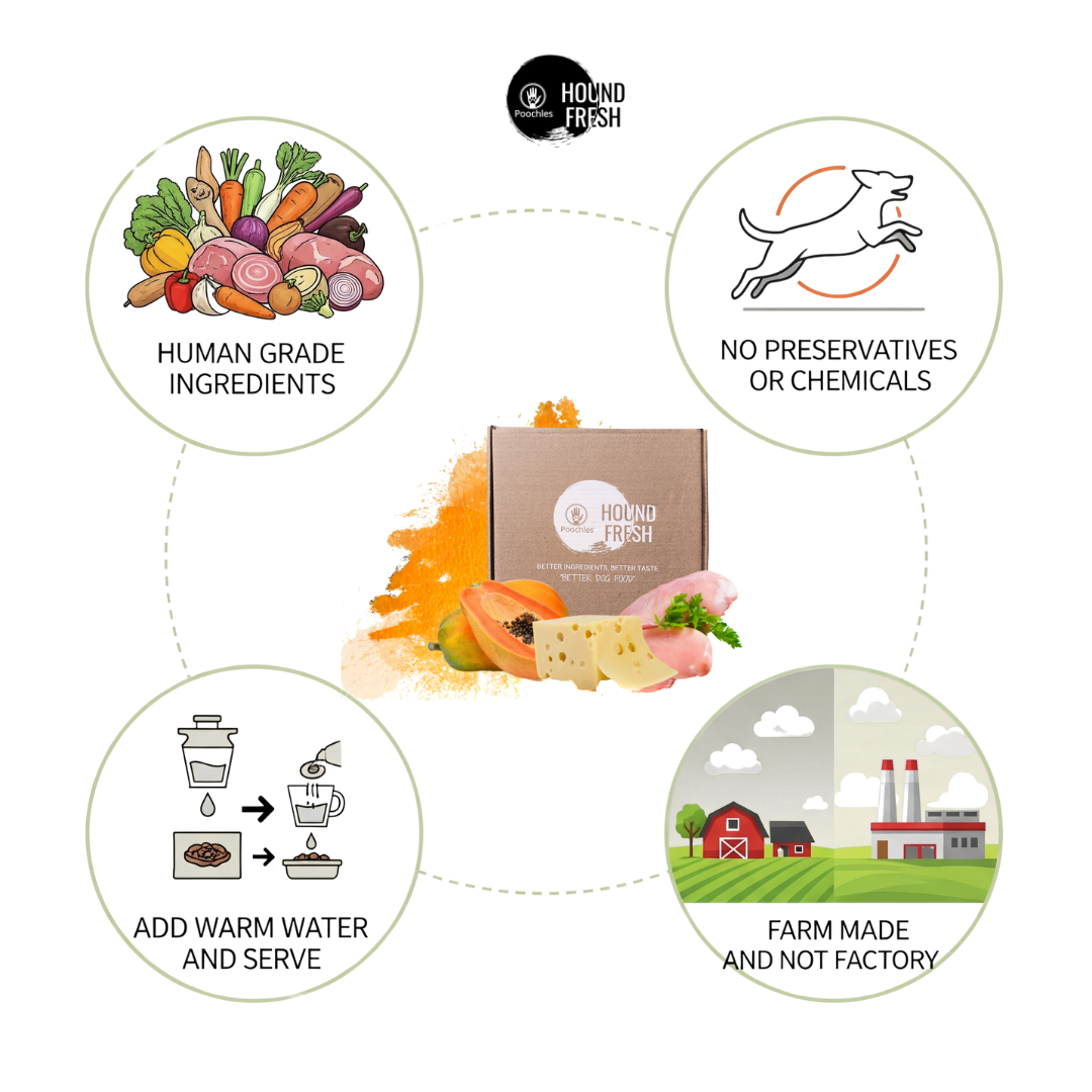 Hound Fresh Sweet Potato and Cheese Dog Fresh Food - Banana, Guava and Papaya Flavoured. 3 in 1