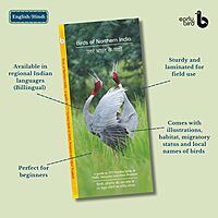 Pan-India Pocket Guides Kit