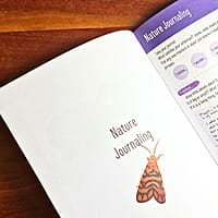 Young Birders' Activity Booklet Young Birders' Activity Booklet