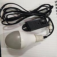 8 no. Lead Bulb 12v For HLS