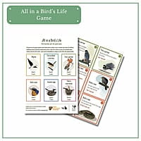 Early Bird Gift Pack Early Bird Gift Pack