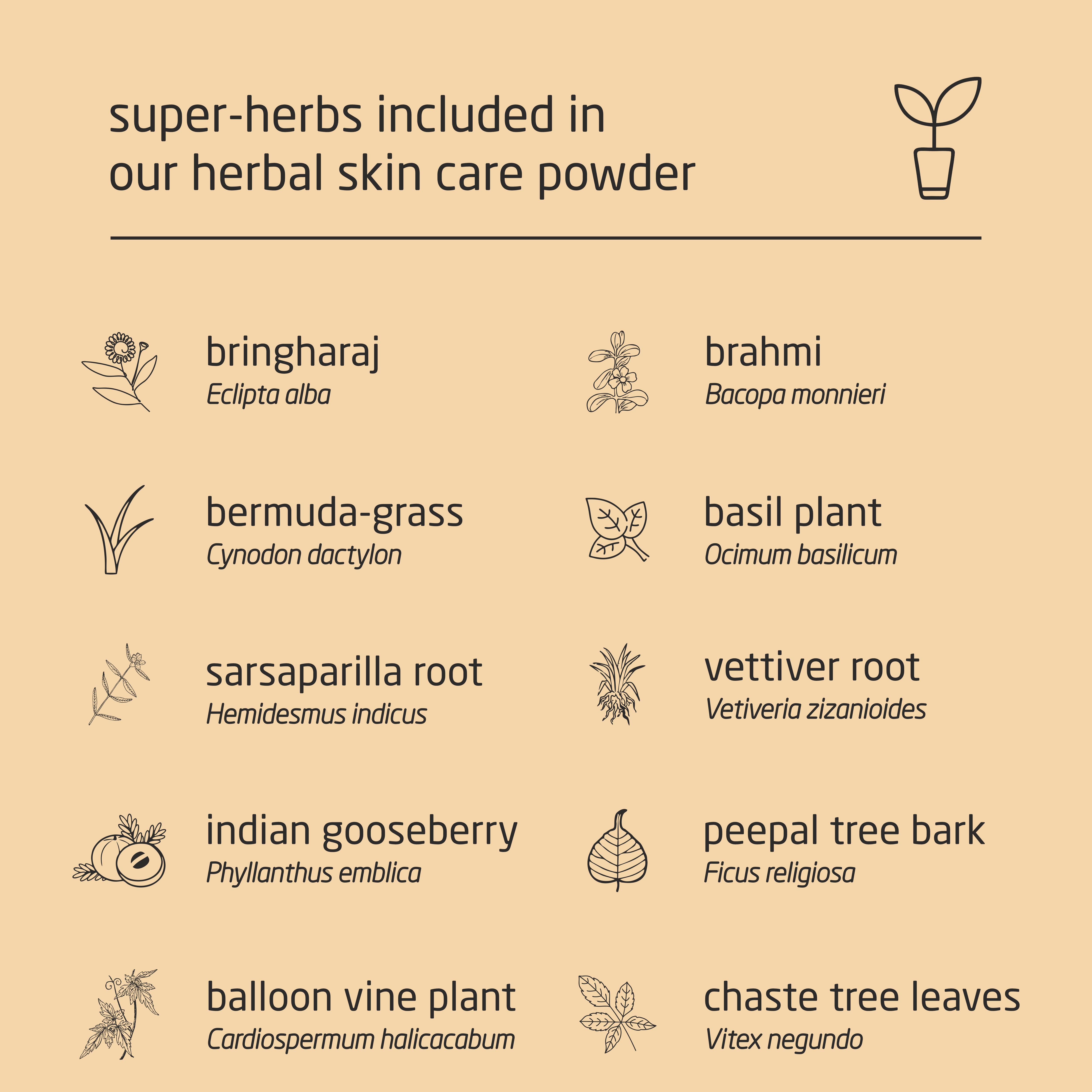 Super Premium Herbal Skin Care Powder - 100g Super Premium Herbal Skin Care Powder - 100g