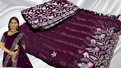 Chennai Exp Popcorn Silver Designer Saree - Plum
