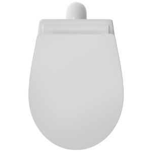 EWC-22111PP Apple EWC S Trap With Normal Close Seat Cover, Hinges, Fixing Accessories