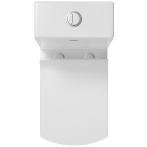OPC-23111PP Solo Washdown One Piece Closet S Trap (9" Inch) With Soft Close Seat Cover, Hinges, Fixing Accessories Set and Accessories Set, Cistern Fittings