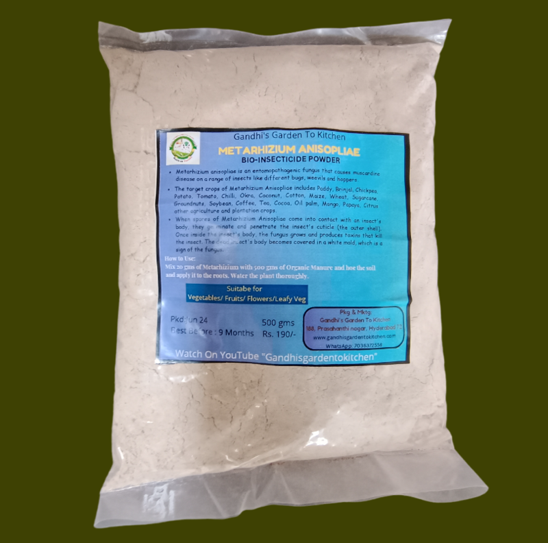 1kg Metarhizium Anisopliae, Bio Pesticide, Control Root Weevils, Plant Hoppers, Japanese Beetle, Black Vine Weevil