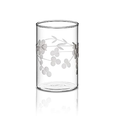 Borosil 295 ml Set of 6 pcs Berry Vision Transparent Drinking Glass | Borosilicate Glass Tumblers for Water, Cold Drinks, Juice| Flame Proof, Microwave & Dishwasher Safe | for Daily use & Gifting Borosil 295 ml Set of 6 pcs Berry Vision Transparent Drinking Glass | Borosilicate Glass Tumblers for Water, Cold Drinks, Juice| Flame Proof, Microwave & Dishwasher Safe | for Daily use & Gifting