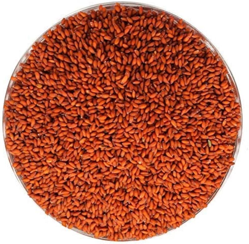 Aliv seeds Aliv seeds