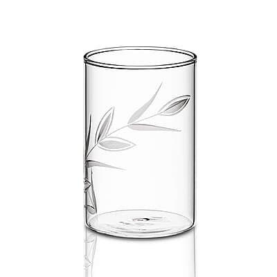 Borosil 295 ml Set of 6 pcs Creeper Vision Transparent Drinking Glass | Borosilicate Glass Tumblers for Water, Cold Drinks, Juice| Flame Proof, Microwave & Dishwasher Safe | for Daily use & Gifting