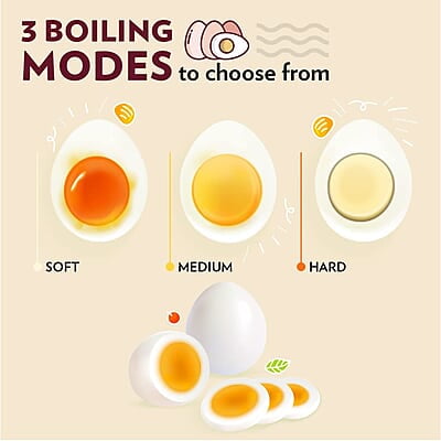 Borosil Electric Egg Boiler, 7 Egg Capacity, For Hard, Soft, Medium Boiled Eggs, Steamed Vegetables, Transparent Lid, Stainless Steel Exterior