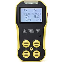 BH-4A with EX, H2S, CO, O2