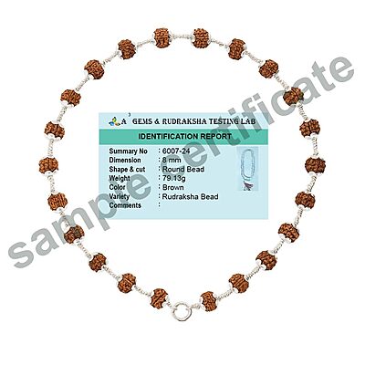 925 Silver Tied Rudraksha Mala Ruthratcham |Ayyappan Pendant Silver ,Certified