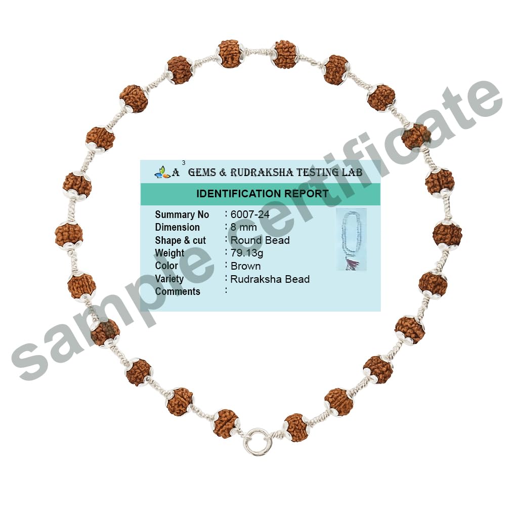 Original Rudraksha Mala in Silver with Om Pendant | Certified
