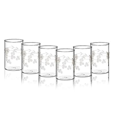 Borosil 295 ml Set of 6 pcs Berry Vision Transparent Drinking Glass | Borosilicate Glass Tumblers for Water, Cold Drinks, Juice| Flame Proof, Microwave & Dishwasher Safe | for Daily use & Gifting Borosil 295 ml Set of 6 pcs Berry Vision Transparent Drinking Glass | Borosilicate Glass Tumblers for Water, Cold Drinks, Juice| Flame Proof, Microwave & Dishwasher Safe | for Daily use & Gifting