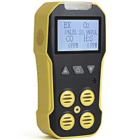 BH-4A with EX, H2S, CO, O2