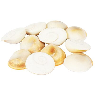 Gomti Chakra 21 Pcs Astrological and goddess lakshmi poja use