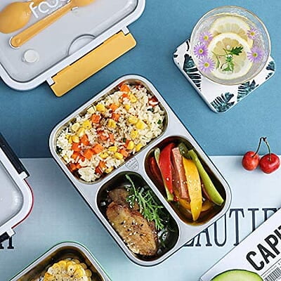 Bento Lunch Box for Kids, Lunch Box for Kids – 3 Compartment Insulated Lunch Box Stainless Steel Tiffin Box for Boys, Girls, School & Office – 750 ML-Multi Color