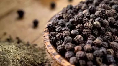Karimenasu - Black Pepper (P) Karimenasu - Black Pepper (P)